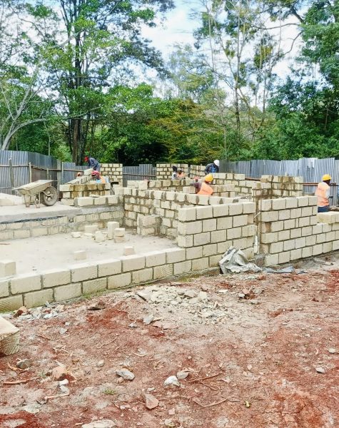 5d29610c-7633-4be0-9538-afecb398f9b1